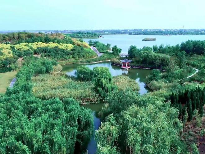 经济激发乡村小店新活力瓦力游戏淄博桓台：