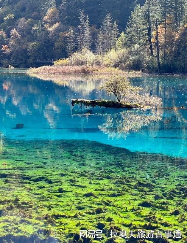 费用明细7天6晚旅游多少钱攻略瓦力棋牌游戏九寨沟四川7日游(图3)